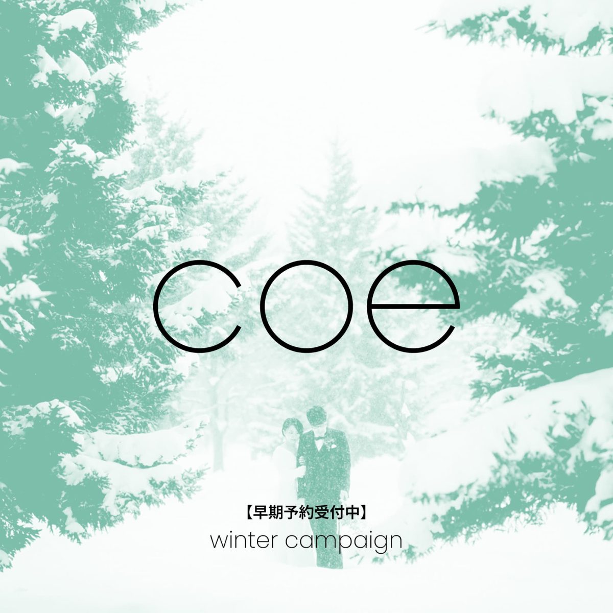 coe_notice-240810